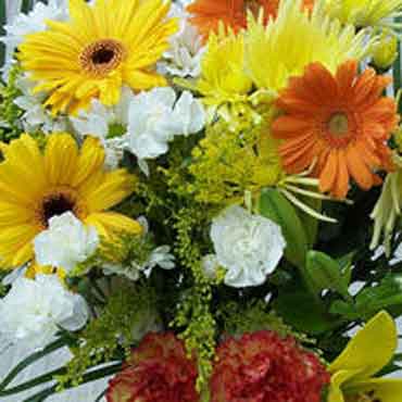 Unbranded Sunburst Bouquet