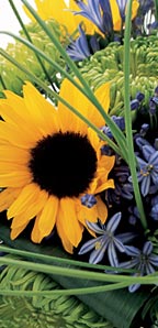Sunflower and Shamrock Bouquet