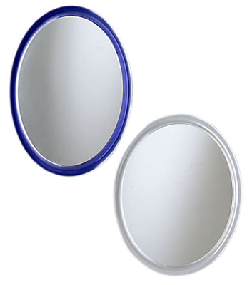 Super Suction Swivel Mirror