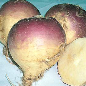 Unbranded Swede Magres Seeds