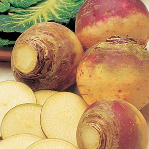Unbranded Swede Ruby Seeds