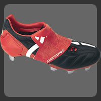 Sweetspot Shoe Guard