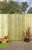Unbranded T and G Ledged and Braced Gate: (1x) 900mm(w) x 1.80m(h) - Pale Green