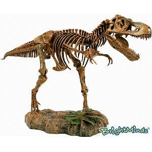 Unbranded T-Rex Skeleton