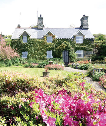 Unbranded Taicroesion