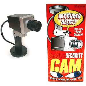 Talking Security Camera