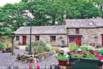 Unbranded Tan Dderwen