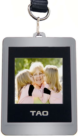 Unbranded TAO Digital Key Ring - Silver