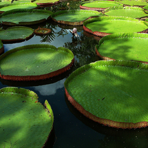 This charming tour is the perfect way for first time visitors to get a flavour for this beautiful is