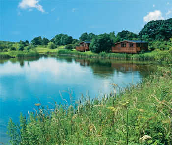 Unbranded Teal Lodge