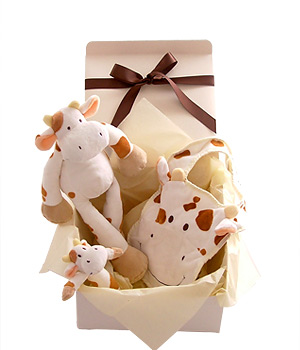 A fun-filled cow gift set for baby with an animal to cuddle a rattle to play with and a bib. The cow