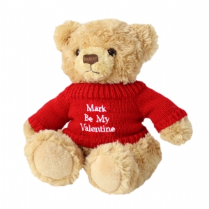 Unbranded Teddy Bear in Red Jumper