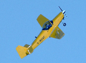 Unbranded Teen tiger moth and tank day