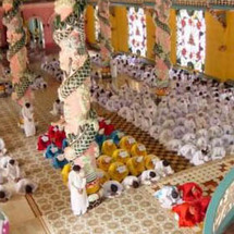 Unbranded Temples and Tunnels - Small Group Tour - Adult