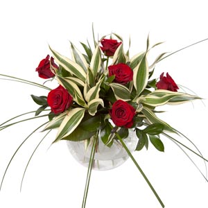 Unbranded Temptation