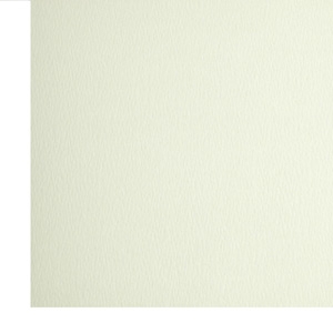Unbranded Textured Ivory Card