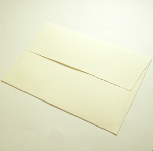 Unbranded Textured Ivory Envelopes C5