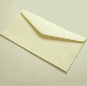 Unbranded Textured Ivory Envelopes DL