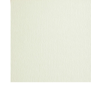 Unbranded Textured White Card