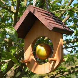 The Apple Perch and Peck