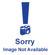 The Big Sleep Mattress Protector