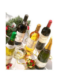 Unbranded The Christmas Day Case 2008