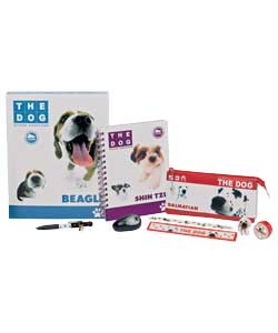 Contents: Multi-colour ballpen.Ring binder.Pencil.Eraser. Sharpener. Ruler. Presspunch. A6 notebook.