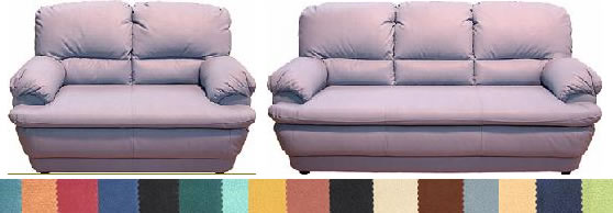 The labrador 3 plus 2