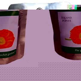 Unbranded The Pocket Garden Plant - Iceland Poppy