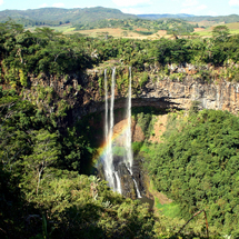 The Scenic South with Casela Nature Park - Adult