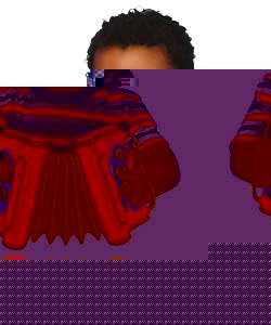 The Wiggles Accordion