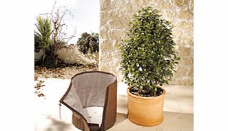 Unbranded Thermoplus Pot Cover