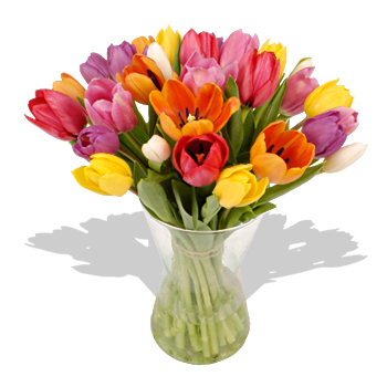 Unbranded Thirty Mixed Tulips - flowers