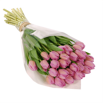 Unbranded Thirty Pink Tulips - flowers