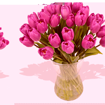 Unbranded Thirty Purple Tulips - flowers