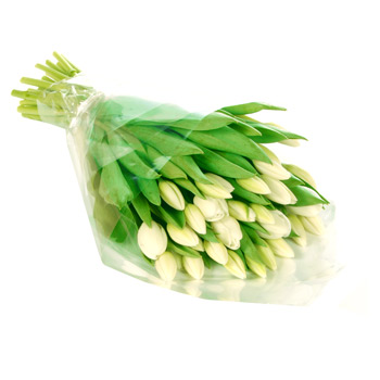 Unbranded Thirty White Tulips - flowers