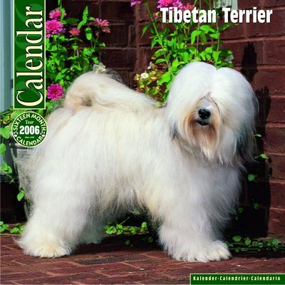 Tibetan Terrier Calendar