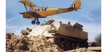 Unbranded Tigers and Tracks Action Day