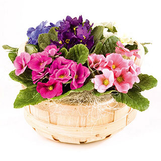 Unbranded Time After Time