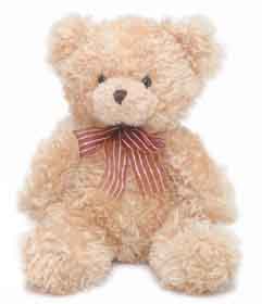 Timmie is a delightful soft teddy bear. He is one of our most popular of our Teddy bears