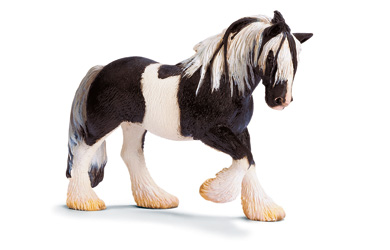 Unbranded Tinker Mare