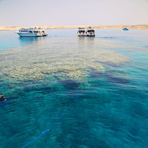 Unbranded Tiran Island Snorkelling Cruise - Adult