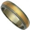 Titanium 6mm D-shape ring with precious metal inlay