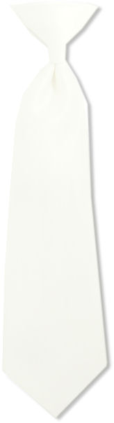 Unbranded Toddler Plain White Clip-On Tie