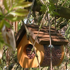 This peanut feeder will easily take up to 1 kilo of nuts - really easy to fill. Constructed from