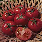 Unbranded Tomato Ailsa Craig Seeds 439121.htm