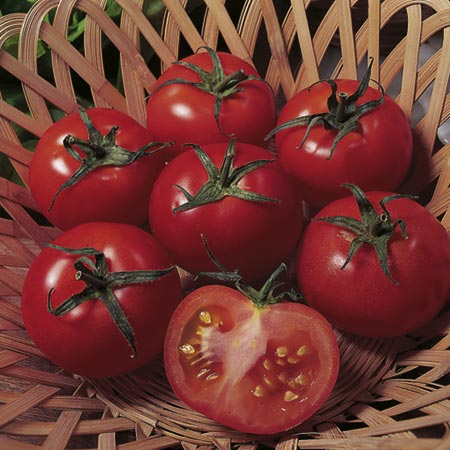 Unbranded Tomato Ailsa Craig Seeds Average Seeds 120