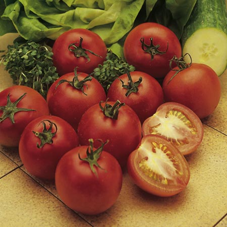 Unbranded Tomato Alicante Plants Pack of 5 Pot Ready