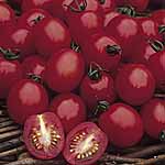 Unbranded Tomato Apero F1 Seeds 439010.htm