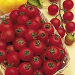 Unbranded Tomato Cherry Belle F1 Seeds 439008.htm